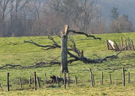 Tornade EF1 à Champagnac-la-Rivière (Haute-Vienne) le 11 janvier 2016