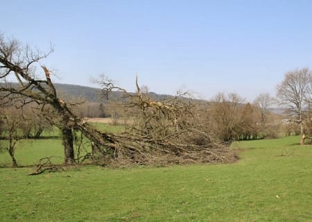 Tornade EF1 à Drom (Ain) le 6 mars 2017