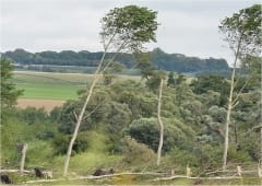 Tornade EF1 à Gueux (Marne) le 10 août 2014