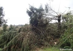 Tornade EF1 à Landivy (Mayenne) le 16 octobre 2014