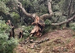 Tornade EF0 au Pradet (Var) le 19 septembre 2020