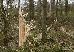 Tornade EF2 à Lorris (Loiret) le 5 mars 2017