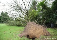 Tornade EF0 à Louhans (Saône-et-Loire) le 13 octobre 2014