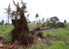 Tornade EF0 à Mercurey (Saône-et-Loire) le 16 mai 2018