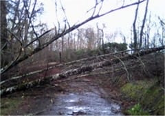 Phénomène venteux destructeur en Haute-Vienne le 11 janvier