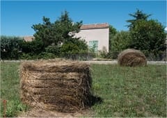 Publication du rapport d'enquête sur la tornade observée dans l'Hérault le 23 août