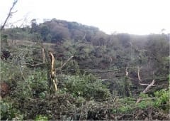 Tornade EF1 à Saint-Thurien (Finistère) le 8 octobre 2014