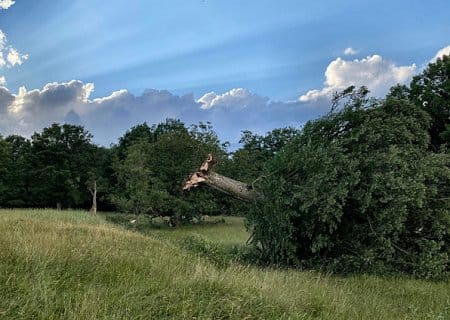 Tornade EF0 à Velleguindry-et-Levrecey (Haute-Saône) le 5 juin 2022