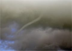 Nouveaux tubas au large du Calvados le 19 août