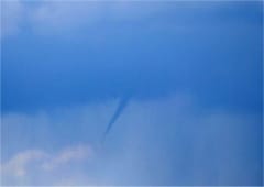 Tuba dans le Calvados le 17 avril