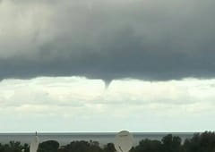 Multiples tubas au large de la Corse le 20 janvier 2016