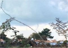 Tuba au large de l'Ile d'Yeu (Vendée) le 10 novembre