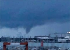 Tuba bien développé au large de la Rochelle (17) le 13 janvier