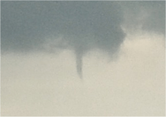 Nouveau tuba dans le Pas-de-Calais le 30 avril