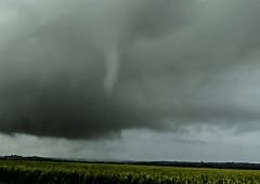 Long tuba en Seine-et-Marne le 18 juin