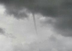 Tuba sur le littoral du Pas-de-Calais le 3 juillet
