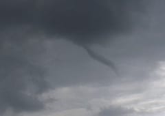 Tuba en Vendée le 3 mai