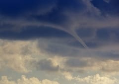 Plusieurs tubas en Méditerranée ces derniers jours